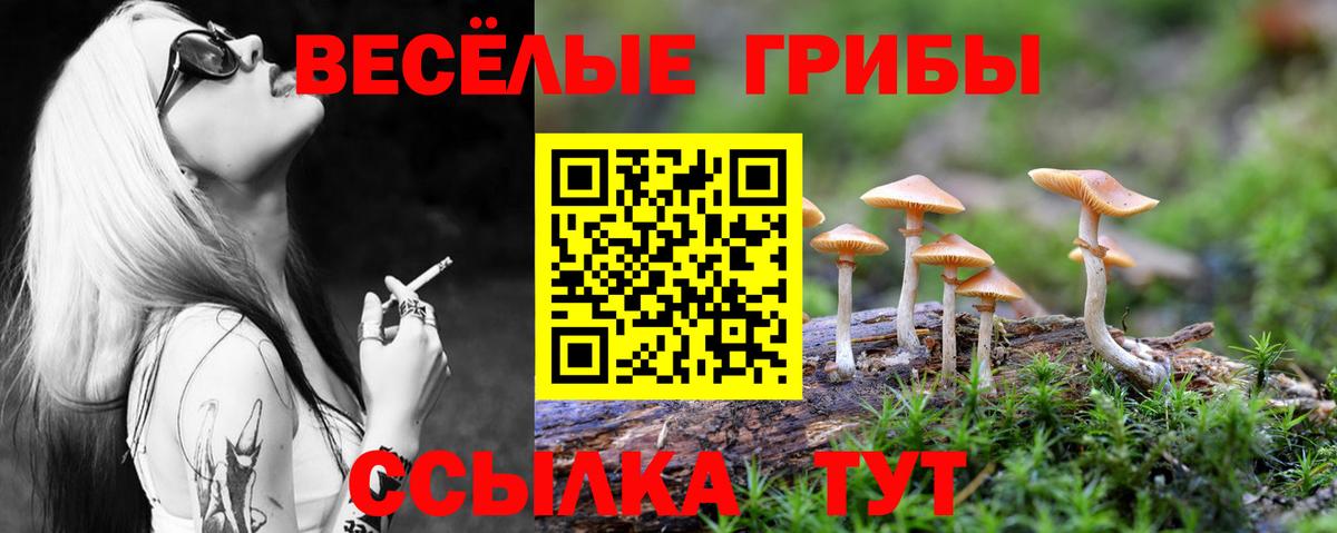 Галлюциногенные грибы мицелий Кингисепп
